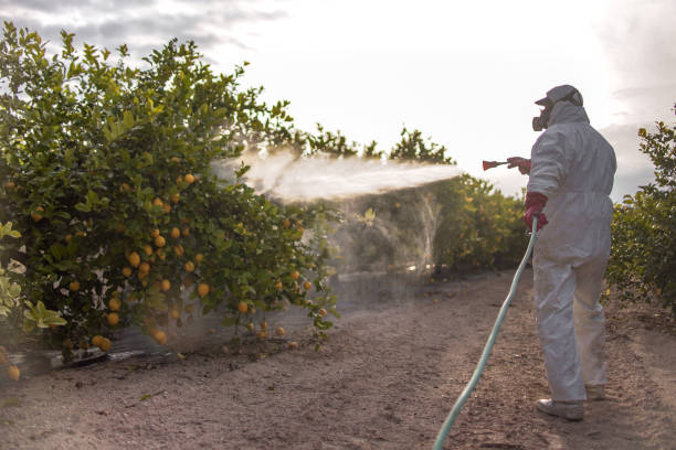 Pest Control Cost in Akron, IN